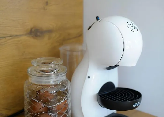 Vaivorykstes Poolside Palanga